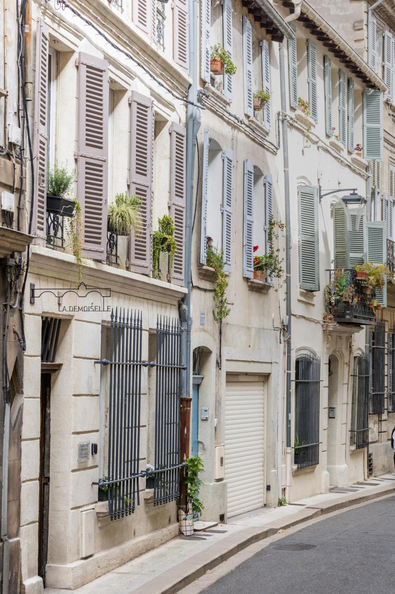 Boutique - La Demoiselle Avignon